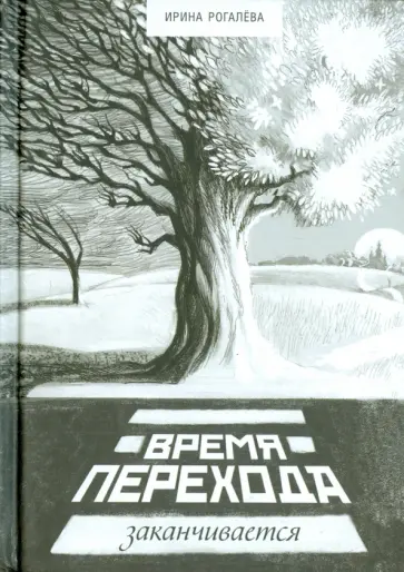 Ирина Рогалева - Время перехода заканчивается… Ирина Рогалева - Время перехода заканчивается… обложка книги