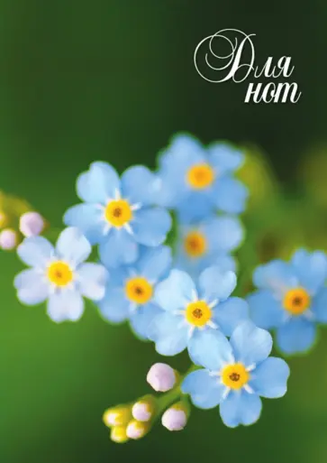 Нотная тетрадь "Голубые цветы" обложка книги