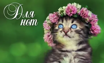 Нотная тетрадь "Котенок в венке" обложка книги