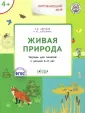 Цветков Александр Владимирович