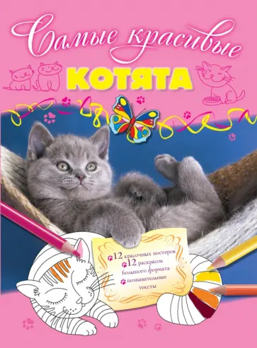 Котята обложка книги