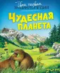 Вандевеле Агнес