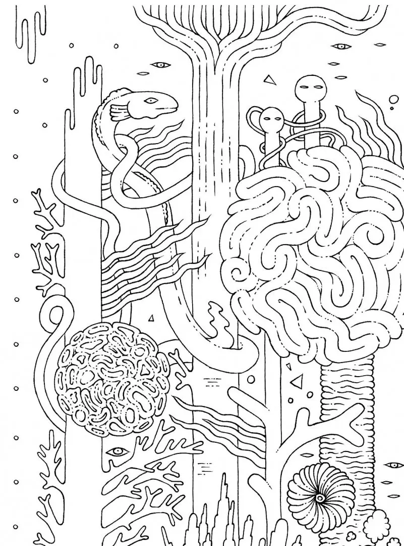 Подборка книг: «Антистресс-раскраски»