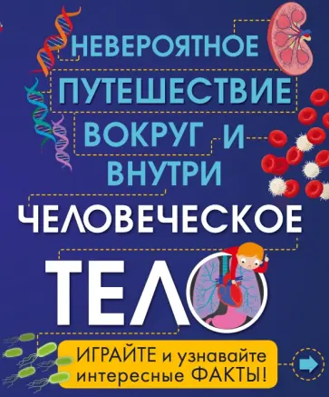 Анна Клейборн - Человеческое тело. Невероятное путешествие вокруг и внутри обложка книги