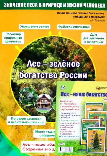Комплект плакатов Лес - наше богатство. 4 плаката с методическим сопровождением. ФГОС обложка книги