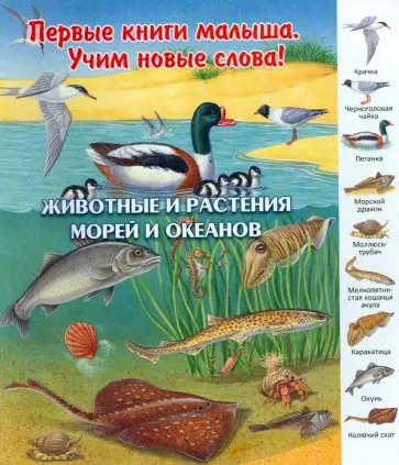 Животные и растения морей и океанов обложка книги