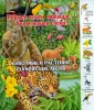 Первые книги малыша. Учим новые слова!