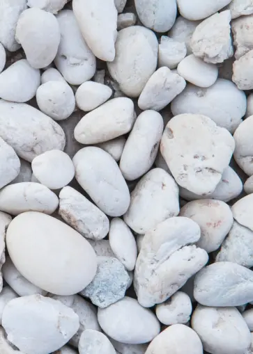 Блокнот для записей "Морской" обложка книги