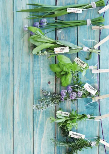 Блокнот для записей "Травяной" обложка книги