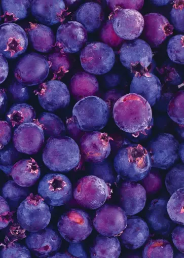 Блокнот для записей "Черничный" обложка книги