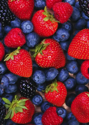 Блокнот для записей "Ягодный" обложка книги