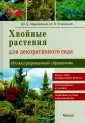 Успенский Игорь Владимирович