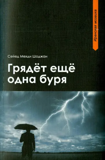 Сейед Шоджаи - Грядет еще одна буря обложка книги