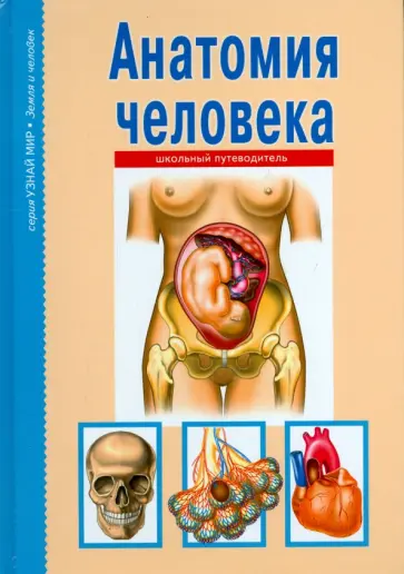 Сергей Афонькин - Анатомия человека. Школьный путеводитель обложка книги