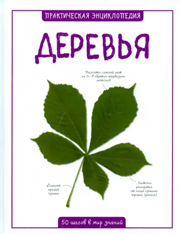Бедуайер Камилла де ла - Деревья Бедуайер Камилла де ла - Деревья обложка книги