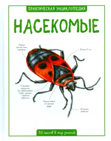 Бедуайер Камилла де ла - Насекомые обложка книги