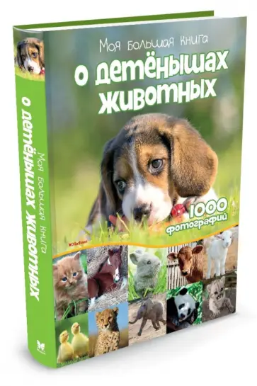 Моя большая книга о детенышах животных. 1000 фотографий Моя большая книга о детенышах животных. 1000 фотографий обложка книги