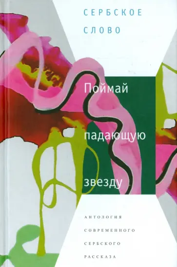 Поймай падающую звезду. Антология современного сербского рассказа обложка книги