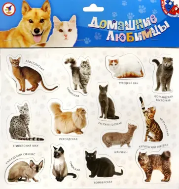 Магниты Домашние любимцы Магниты Домашние любимцы обложка книги