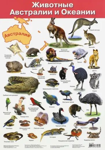 Плакат "Животные Австралии и Океании" (2858) обложка книги