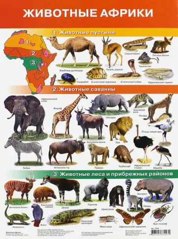 Плакат "Животные Африки" (2705) обложка книги