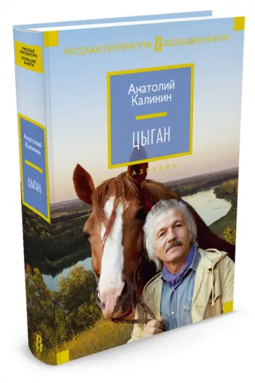 Анатолий Калинин - Цыган обложка книги