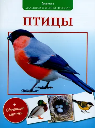 Василий Вишневский - Птицы Василий Вишневский - Птицы обложка книги