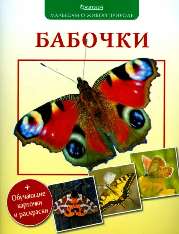 Петр Волцит - Бабочки Петр Волцит - Бабочки обложка книги