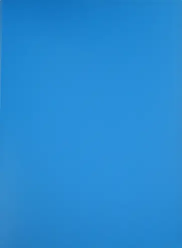 Папка с файлами (20 файлов, синяя) (CY1422-В) обложка книги