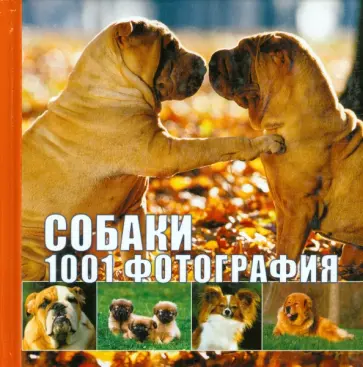 Собаки. 1001 фотография обложка книги