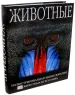 Миниатюра 1