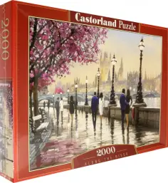 Puzzle-2000. Набережная обложка книги