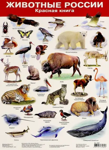 Животные России-2. Красная книга. Демонстрационный плакат (2987) обложка книги