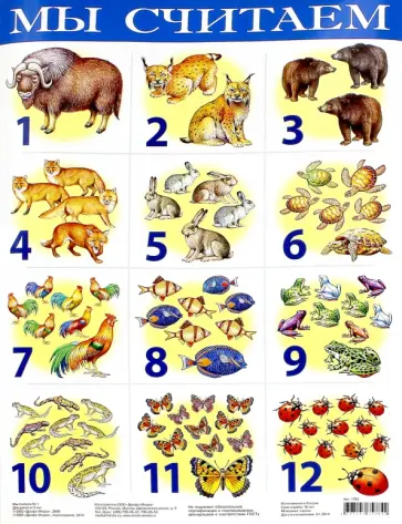 Мы считаем №1. Демонстрационный плакат (1762) обложка книги