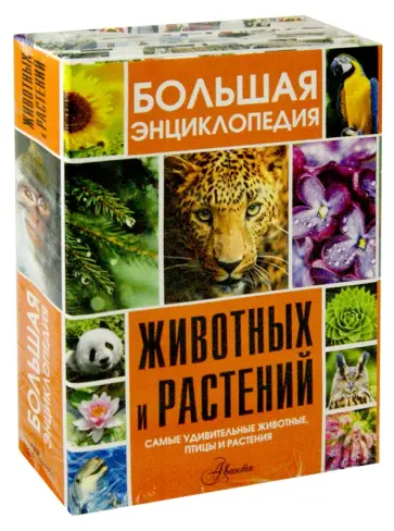 Большая энциклопедия животных и растений обложка книги