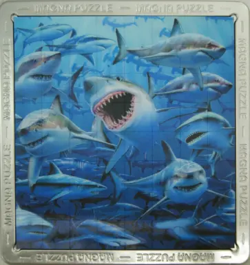 Magna Puzzle. 3D мега пазл "Акулы" (21065) обложка книги