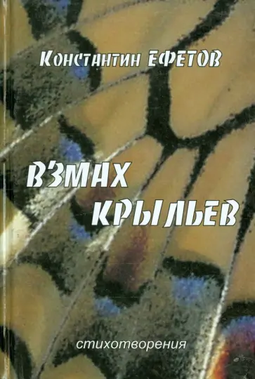 Константин Ефетов - Взмах крыльев обложка книги