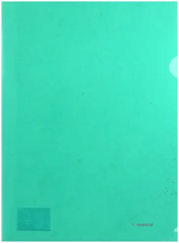 Папка-уголок CLASSIC зеленый (255179-03) обложка книги