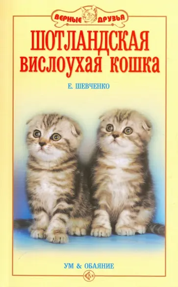 Елена Шевченко - Шотландская вислоухая кошка. Ум и обаяние обложка книги