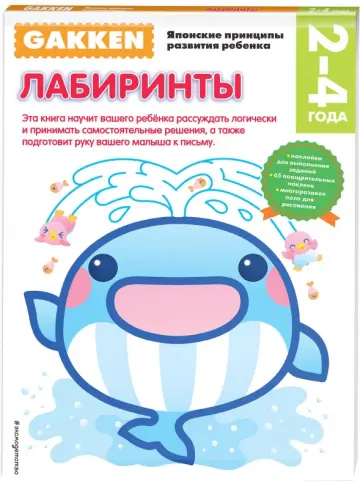 2+. Лабиринты обложка книги