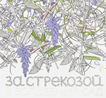 За стрекозой в волшебный сад обложка книги