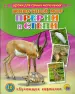 Миниатюра 1