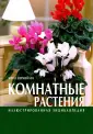 Вермейлен Нико