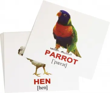 Носова, Епанова - Комплект мини-карточек "Domestic animals. Домашние животные" (40 штук) обложка книги