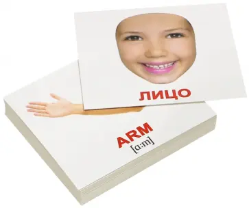 Носова, Епанова - Комплект мини-карточек "Human. Человек" (40 штук) обложка книги