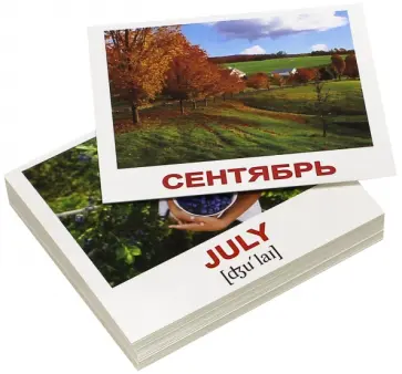 Носова, Епанова - Комплект мини-карточек "Calendar/Календарь" (40 штук) обложка книги