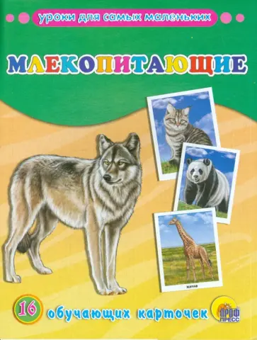 Обучающие карточки "Млекопитающие" (16 карточек) Обучающие карточки "Млекопитающие" (16 карточек) обложка книги