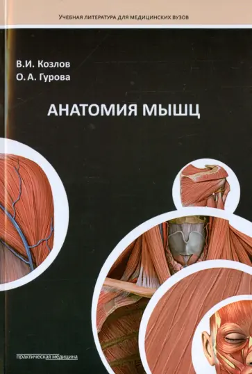 Козлов, Гурова - Анатомия мышц. Учебное пособие обложка книги