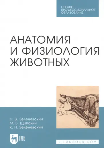 Зеленевский, Зеленевский - Анатомия и физиология животных. Учебник для СПО Зеленевский, Зеленевский - Анатомия и физиология животных. Учебник для СПО обложка книги