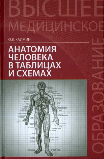 Олег Калмин - Анатомия человека в таблицах и схемах. Учебное пособие Олег Калмин - Анатомия человека в таблицах и схемах. Учебное пособие обложка книги